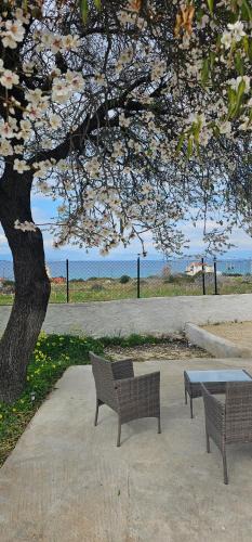 Milos House | Maria's place Agkistri