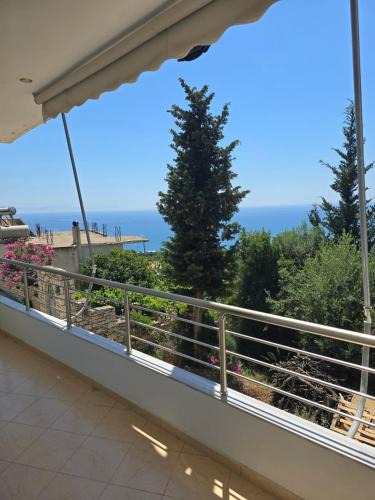 Qeparo Apartment | Mario Guest House
