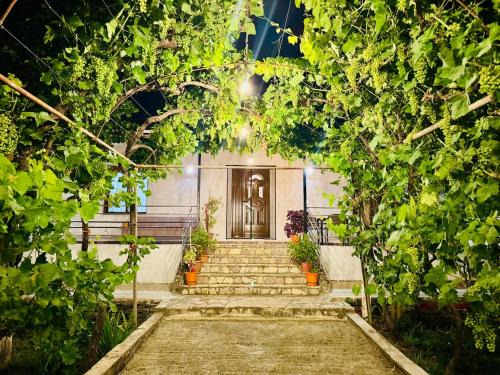 Lazarat House | Meadow Of Stars house