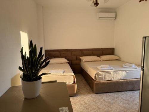 Durres House | Melas Villa