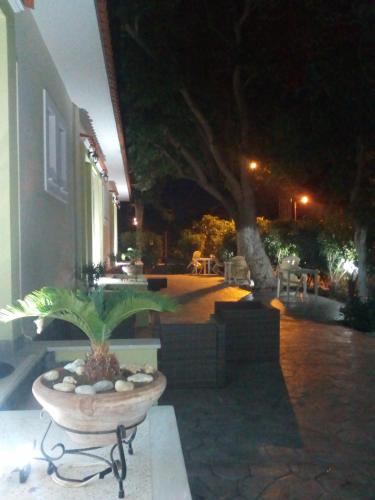 Mytilene Apartment | Melina Apartment