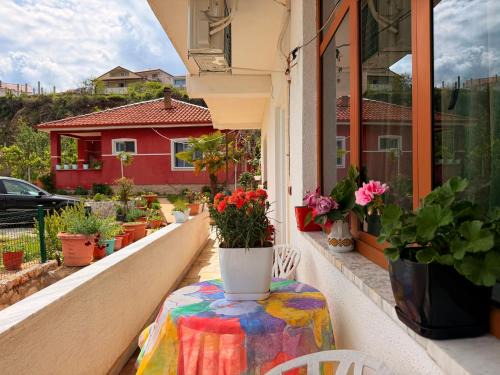 Udenisht House | Mert Jacellari Guesthouse