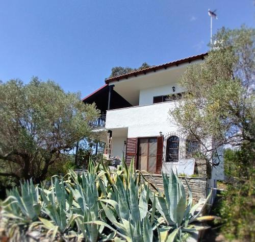 Sithonia House | Mike's Seaside House