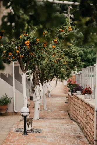Parga Hotel | Milto's Studios