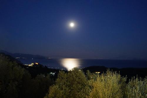 Anthousa Apartment | Moonlight Suites