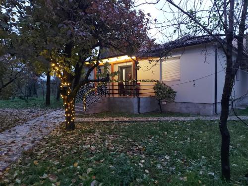 Shkoder House | Nicolaus Hidden Gem Villa