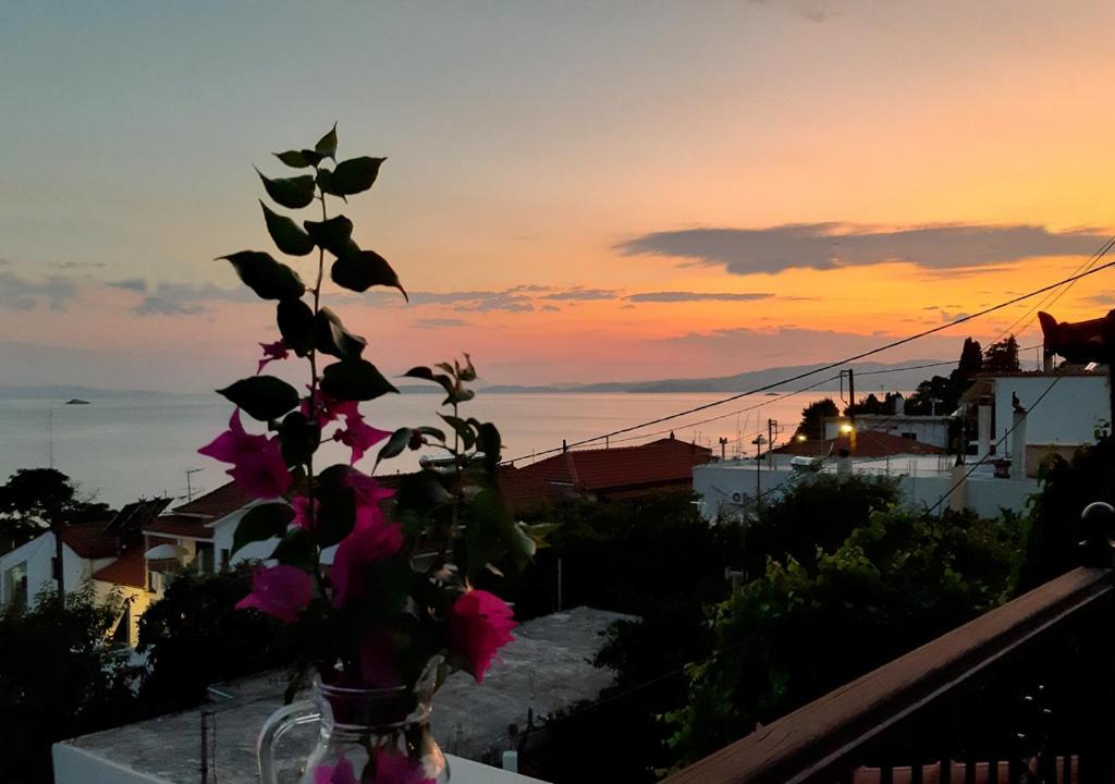 Neo Klima Apartment | Ocean View