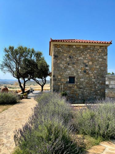 Lemnos Villa | Paliokaliva Home