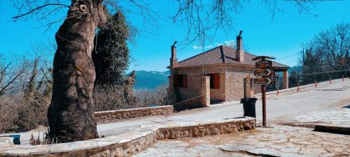 Synikia Mesi Trikalon House | Petradi Guesthouse