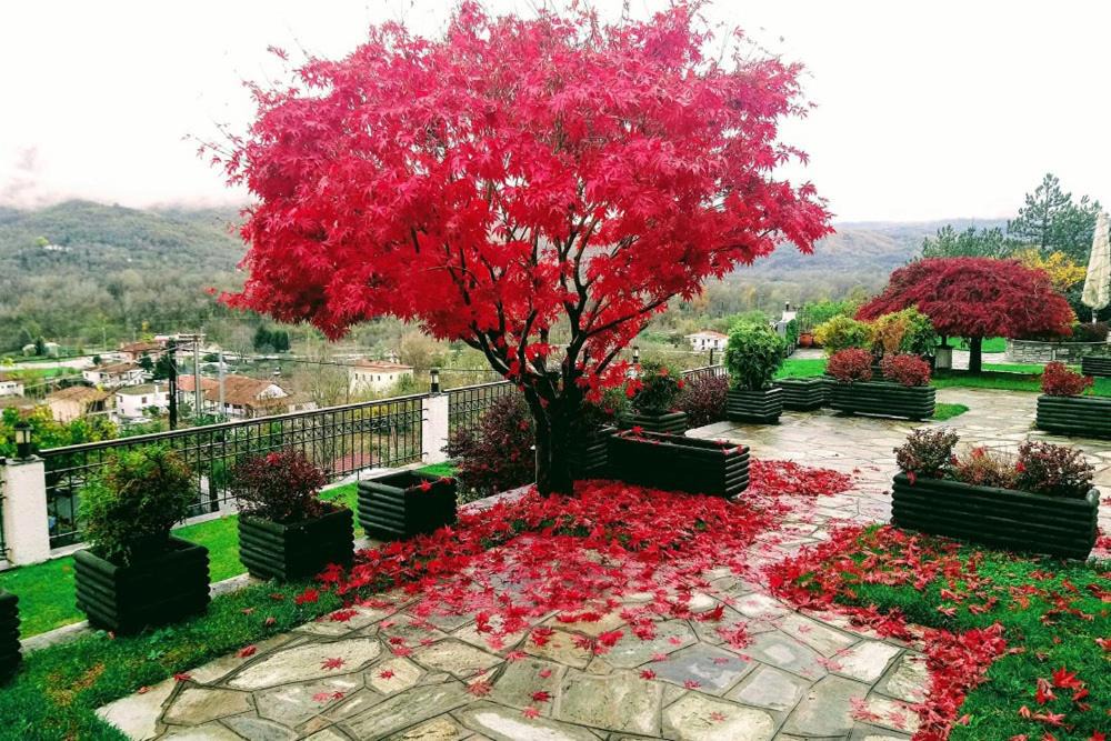 Paranesti Hotel | Philoxenia Hotel