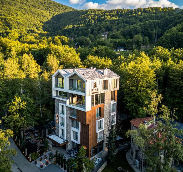 Brezovice Hotel | Pine Hotel & Spa Brezovice