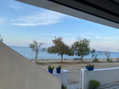 Nea Mesagkala Apartment | Poseidon Street ΝΕΑ ΜΕΣΑΓΓΑΛΑ Γκαρσονιέρα 3