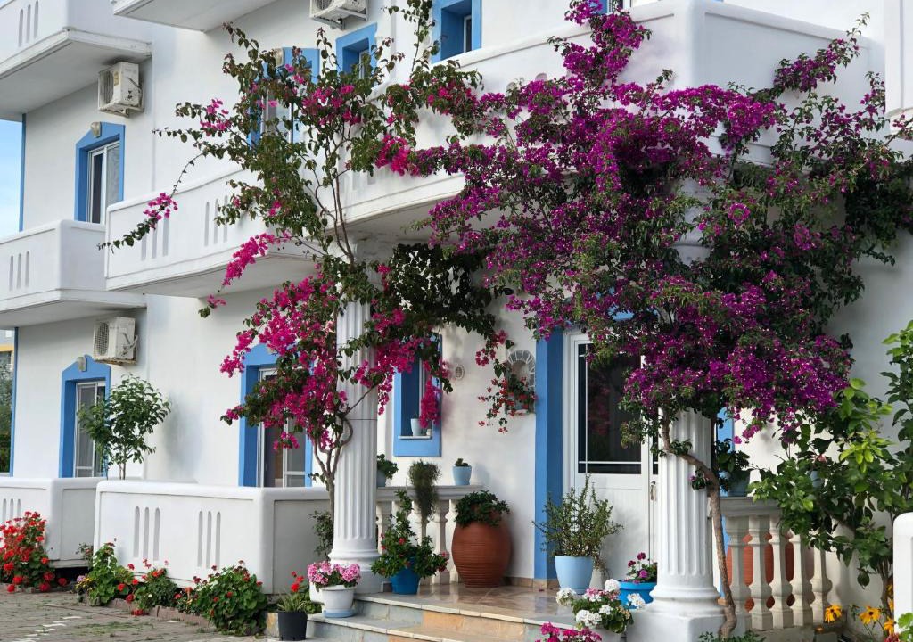 Shengjin Hotel | Romantika