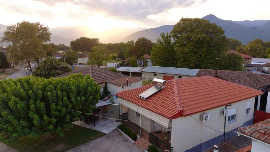 Ano Rodonia House | Roots House Pozar