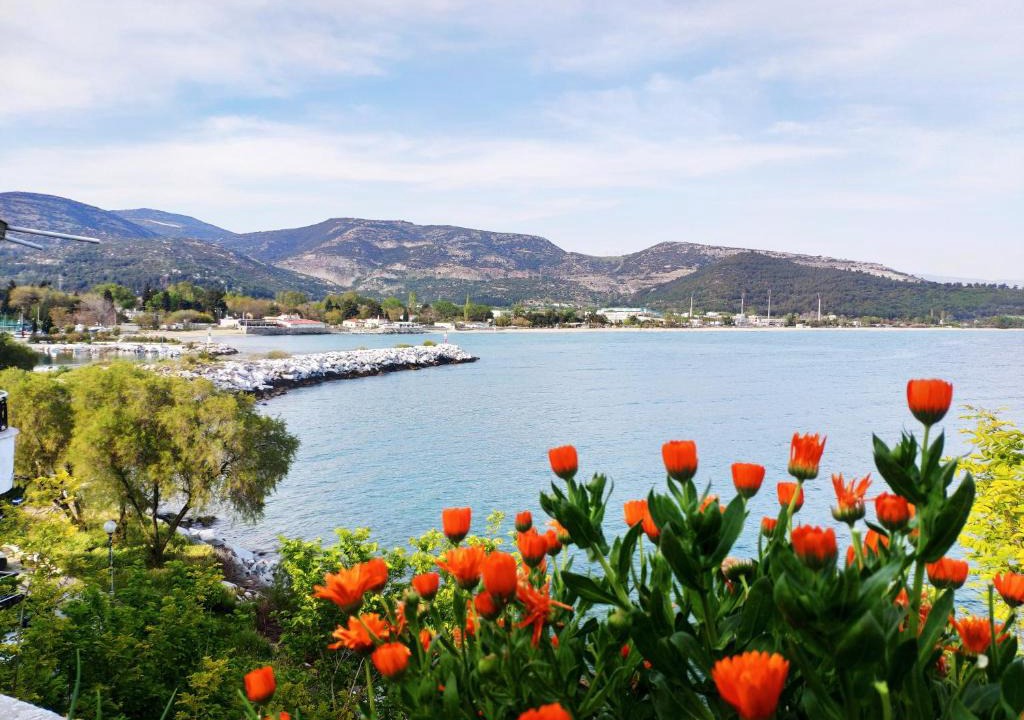 Kavala House | Sailor's Delight