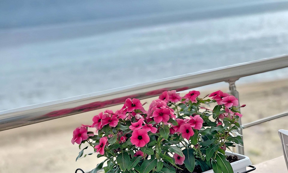 Vlore Apartment | SeaView Apartments Rental Vlore