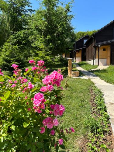 Hoçë e Qytetit House | Stanetestruzhes
