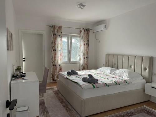 Corovode House | Stylish Room by Canyons & City