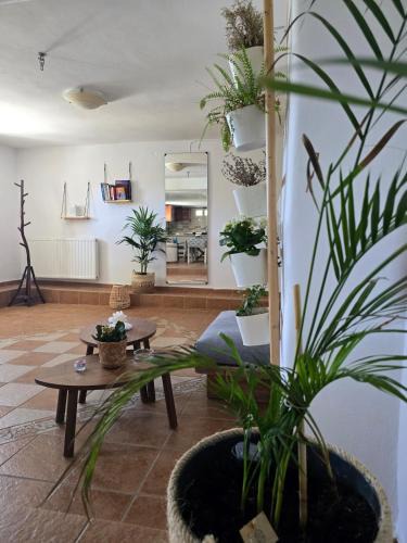 Marpissa Apartment | Tamarisk House-An Ideal Getaway in Southern Paros