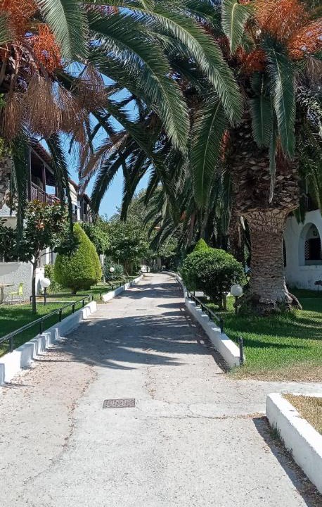 Skala Fourkas Apartment | Teo Apartment The Palm Oasis house 80m from the sea