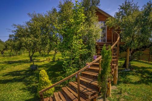 Neromilos Other | Terra Vine Collection - FairyTale