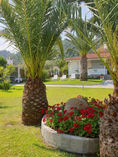 Vourvourou Villa | The Endless View