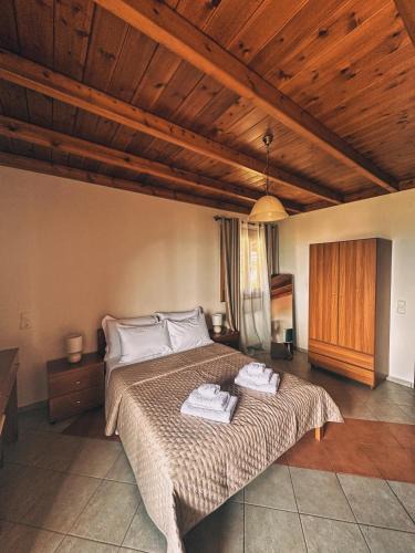 Konitsa Apartment | The Stone Alley