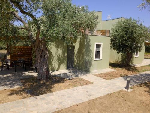 Skala Prinou Apartment | The Thassian Yard Houses