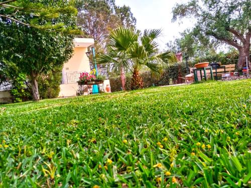 Glifa House | Theocharis Paradise