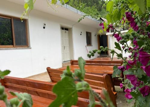 Theth House | Thethi Mountain guesthouse