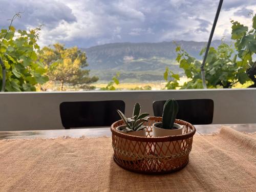 Gjirokaster Villa | Thimjos & Ritas Guesthouse