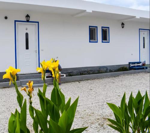 Vlore Villa | Troi beach house