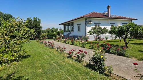 Sakës House | Vila Rrozhani