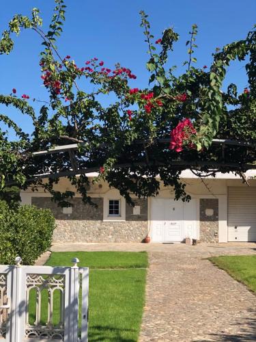 Kithnos Apartment | Villa Amalaya