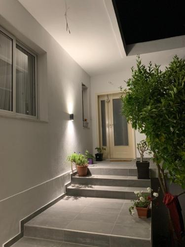 Gjirokaster Apartment | Villa Braho