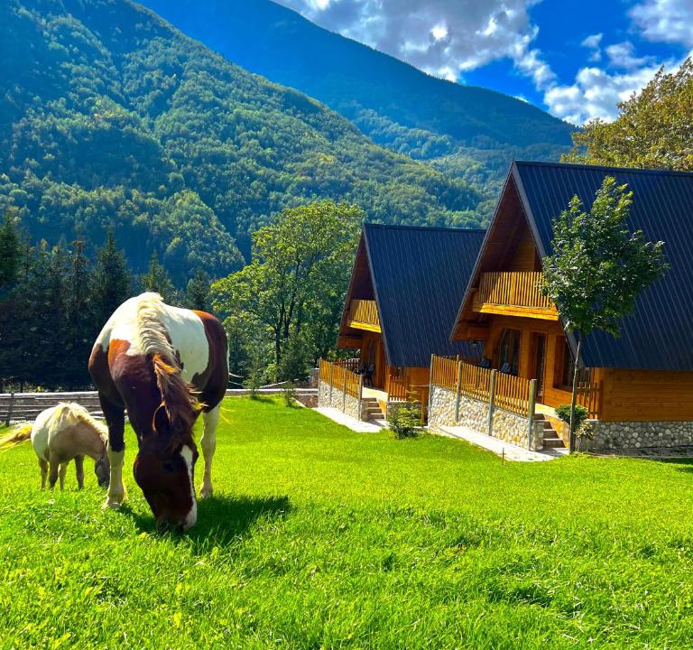 Pejë Villa | Villa Dardania