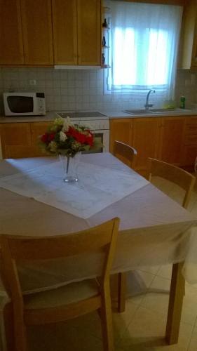 Sivota Apartment | Villa Dimitra