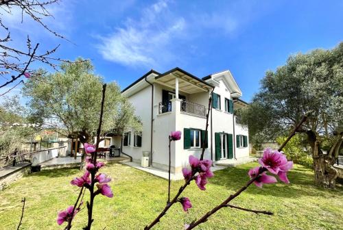 Mullet Villa | Villa Edmond in the Hills