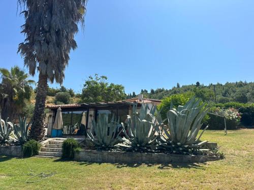 Kassandra House | Villa Evgenia- Bungalow