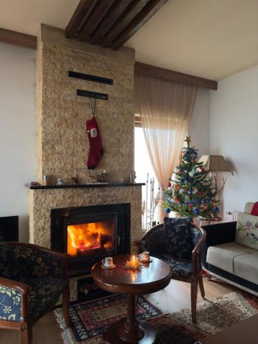 Pleshinë Villa | Villa Harmonia