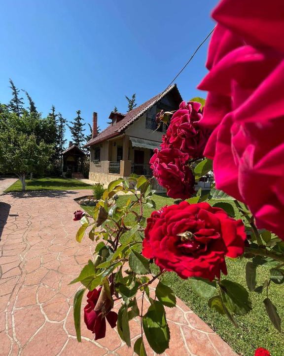 Nea Iraklia Villa | Villa Katerina