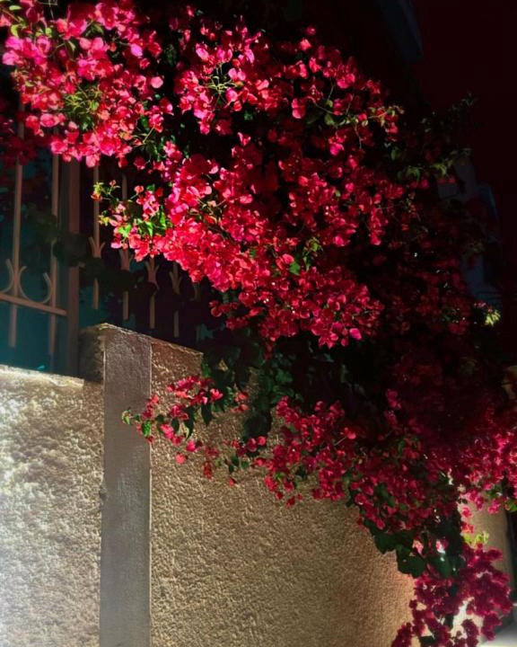 Sarande Apartment | Villa Kristiana