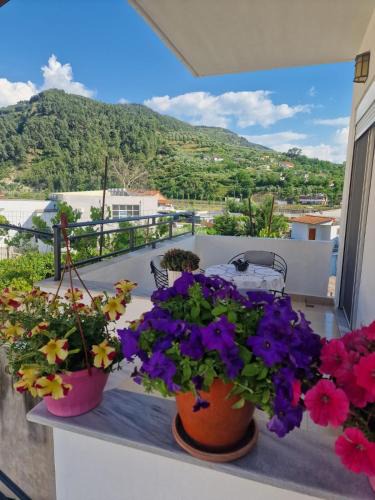 Berat Apartment | Villa Noah