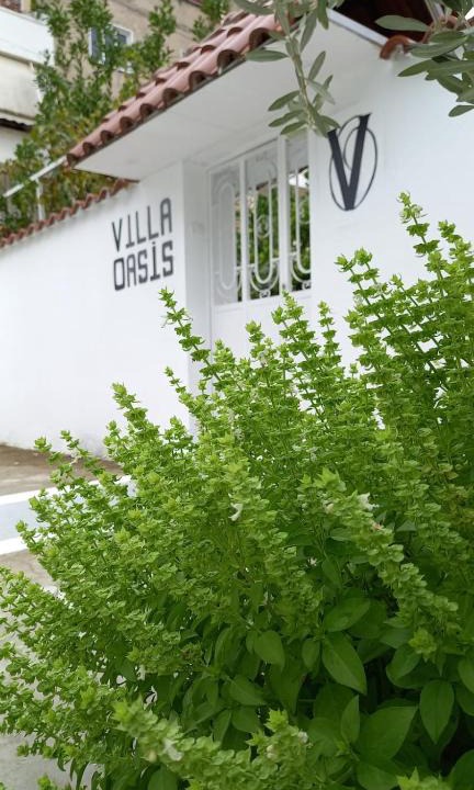 Berat Bed & Breakfast | Villa Oasis