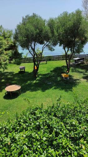 Kavala Apartment | Villa Rea Di Mare