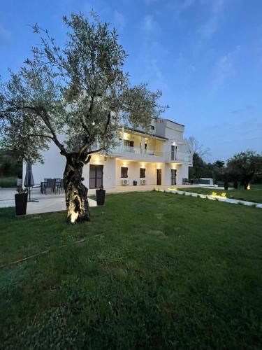 Roda Apartment | Villa Rodelia 1