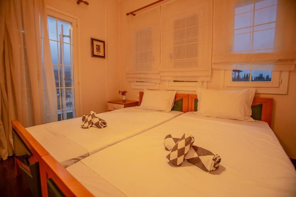 Agria Villa | Villa Sarracino