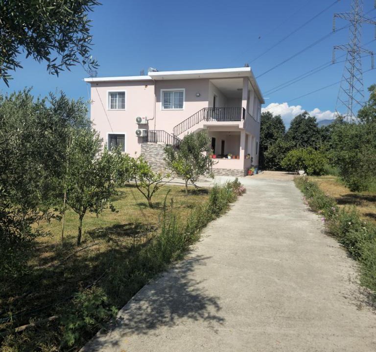 Kamez Apartment | Visi garden house