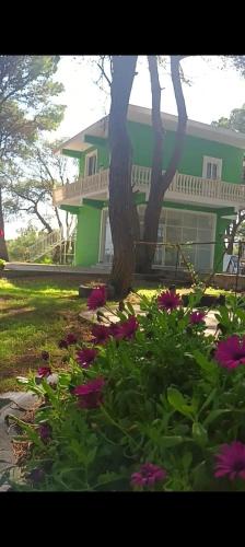 Fier Hostel | Vjosa River Rooms