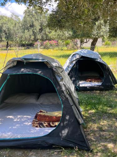 Borsh Other | Waveside Camping